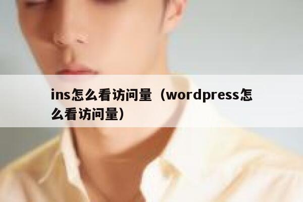 ins怎么看访问量（wordpress怎么看访问量） 第1张