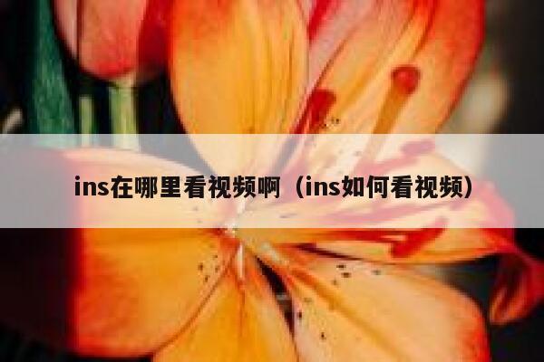 ins在哪里看视频啊（ins如何看视频） 第1张