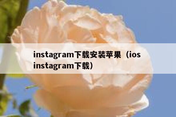 instagram下载安装苹果（ios instagram下载） 第1张