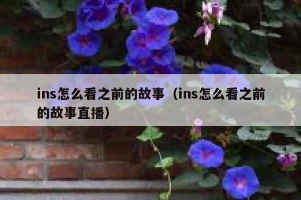 ins怎么看之前的故事（ins怎么看之前的故事直播） 第1张