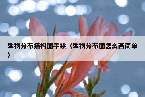 生物分布结构图手绘（生物分布图怎么画简单） 第1张