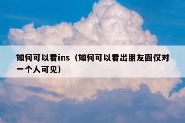 如何可以看ins（如何可以看出朋友圈仅对一个人可见） 第1张