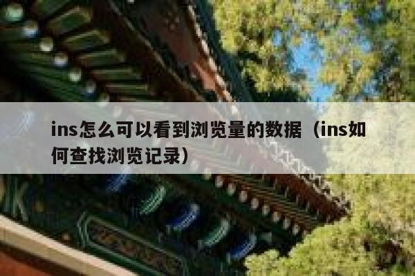 ins怎么可以看到浏览量的数据（ins如何查找浏览记录） 第1张