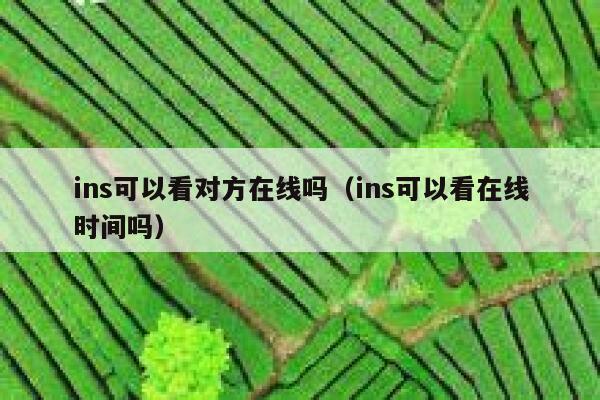 ins可以看对方在线吗（ins可以看在线时间吗） 第1张