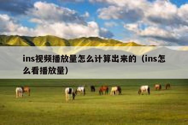ins视频播放量怎么计算出来的（ins怎么看播放量） 第1张