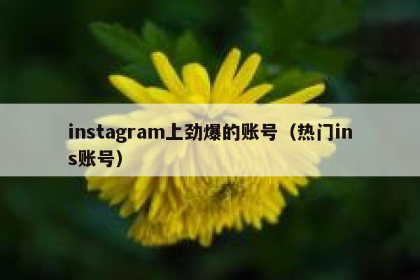 instagram上劲爆的账号（热门ins账号） 第1张
