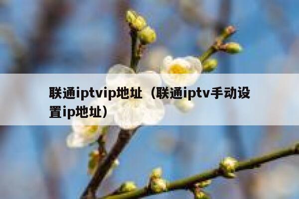 联通iptvip地址(联通iptv手动设置ip地址) 第1张 联通iptvip地址(联通iptv手动设置ip地址) 第1张