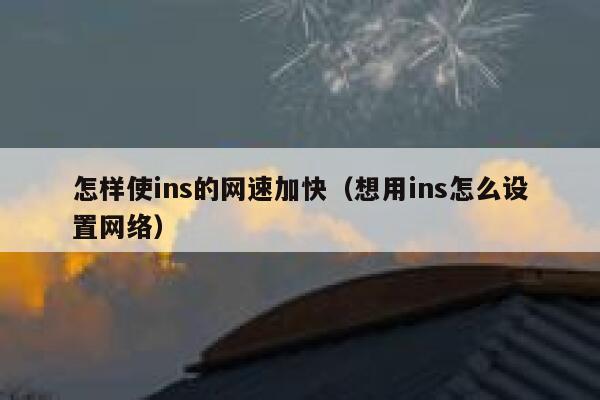 怎样使ins的网速加快(想用ins怎么设置网络) 第1张 怎样使ins的网速加快(想用ins怎么设置网络) 第1张