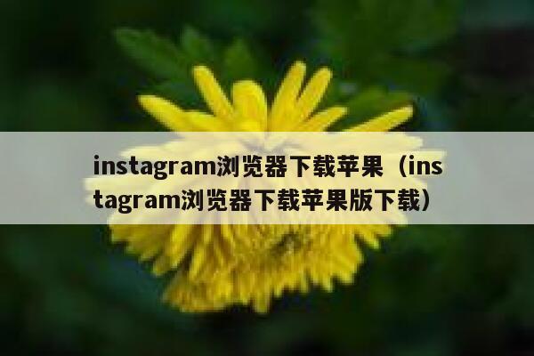instagram浏览器下载苹果（instagram浏览器下载苹果版下载） 第1张