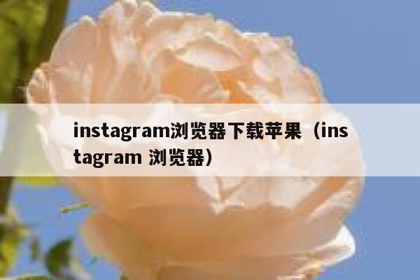 instagram浏览器下载苹果（instagram 浏览器） 第1张