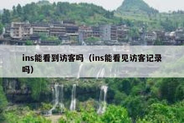 ins能看到访客吗(ins能看见访客记录吗) 第1张 ins能看到访客吗(ins能看见访客记录吗) 第1张