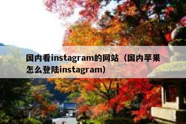 国内看instagram的网站（国内苹果怎么登陆instagram） 第1张