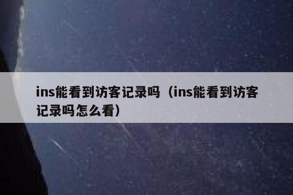 ins能看到访客记录吗（ins能看到访客记录吗怎么看） 第1张