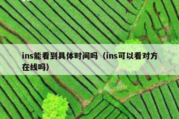 ins能看到具体时间吗（ins可以看对方在线吗） 第1张