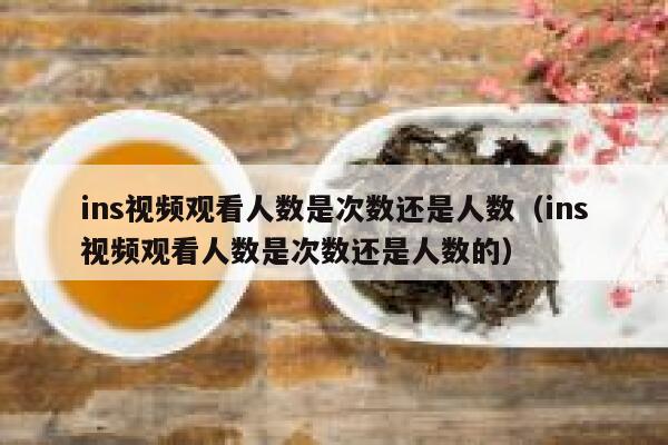 ins视频观看人数是次数还是人数（ins视频观看人数是次数还是人数的） 第1张
