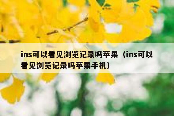 ins可以看见浏览记录吗苹果（ins可以看见浏览记录吗苹果手机） 第1张