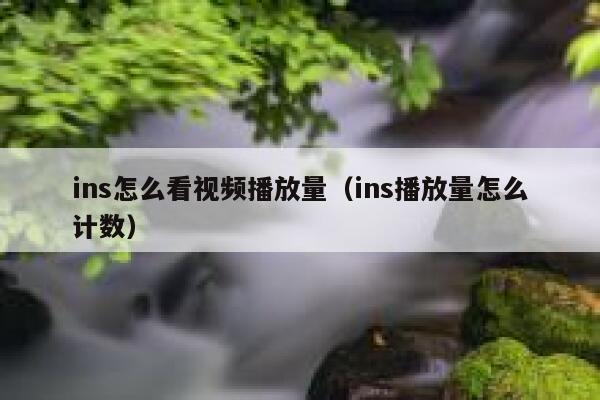 ins怎么看视频播放量(ins播放量怎么计数) 第1张 ins怎么看视频播放量(ins播放量怎么计数) 第1张