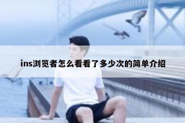ins浏览者怎么看看了多少次的简单介绍 第1张 ins浏览者怎么看看了多少次的简单介绍 第1张