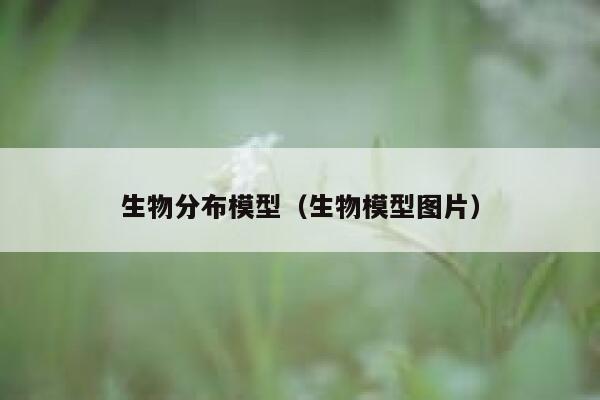 生物分布模型（生物模型图片） 第1张