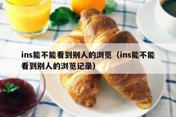 ins能不能看到别人的浏览（ins能不能看到别人的浏览记录） 第1张