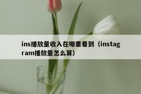 ins播放量收入在哪里看到（instagram播放量怎么算） 第1张