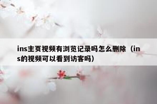 ins主页视频有浏览记录吗怎么删除（ins的视频可以看到访客吗） 第1张