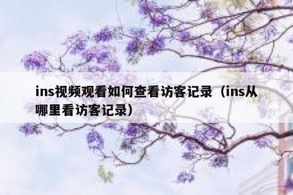ins视频观看如何查看访客记录（ins从哪里看访客记录） 第1张