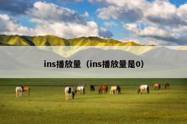 ins播放量（ins播放量是0） 第1张