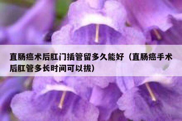 直肠癌术后肛门插管留多久能好（直肠癌手术后肛管多长时间可以拔） 第1张