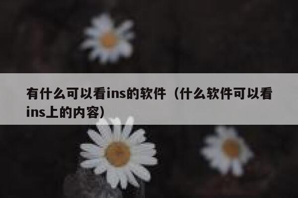有什么可以看ins的软件（什么软件可以看ins上的内容） 第1张