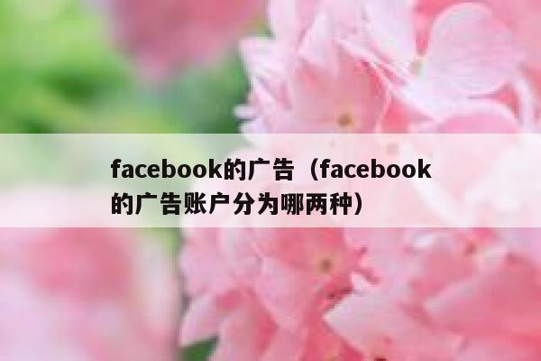 facebook的广告（facebook的广告账户分为哪两种） 第1张