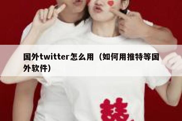 国外twitter怎么用（如何用推特等国外软件） 第1张