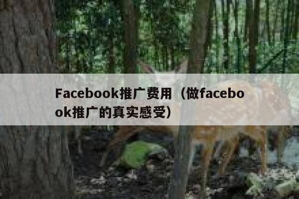 Facebook推广费用（做facebook推广的真实感受） 第1张