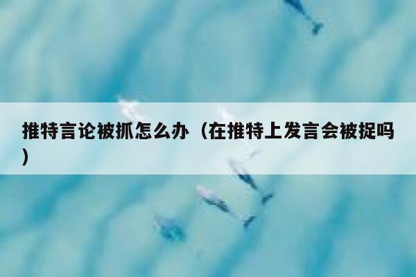 推特言论被抓怎么办（在推特上发言会被捉吗） 第1张