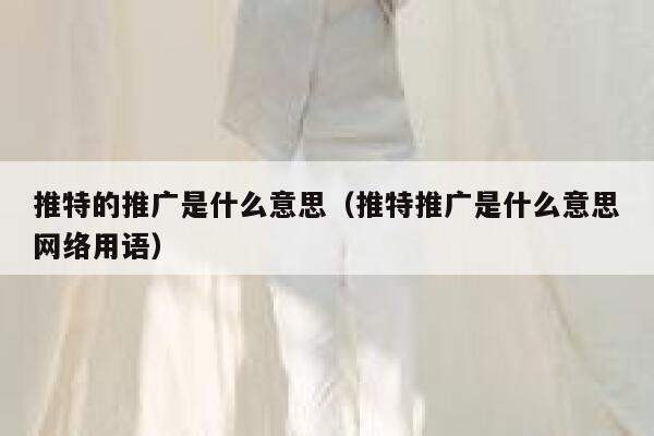推特的推广是什么意思（推特推广是什么意思网络用语） 第1张