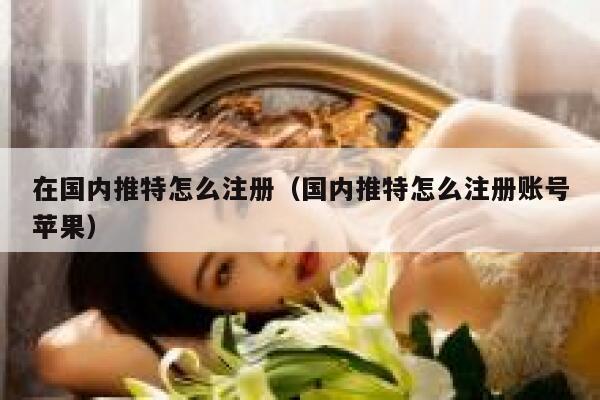 在国内推特怎么注册（国内推特怎么注册账号苹果） 第1张