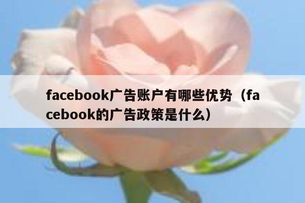 facebook广告账户有哪些优势（facebook的广告政策是什么） 第1张