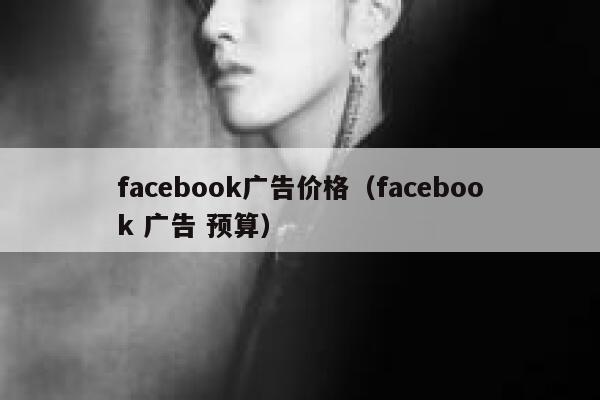 facebook广告价格（facebook 广告 预算） 第1张