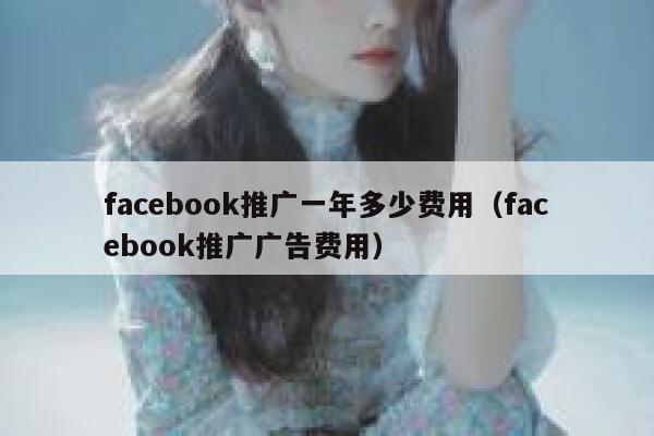 facebook推广一年多少费用（facebook推广广告费用） 第1张