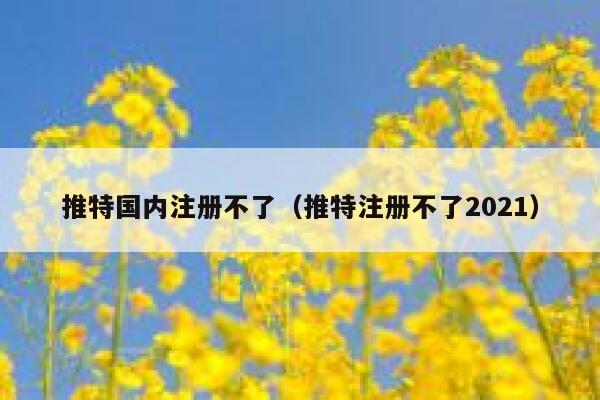 推特国内注册不了（推特注册不了2021） 第1张