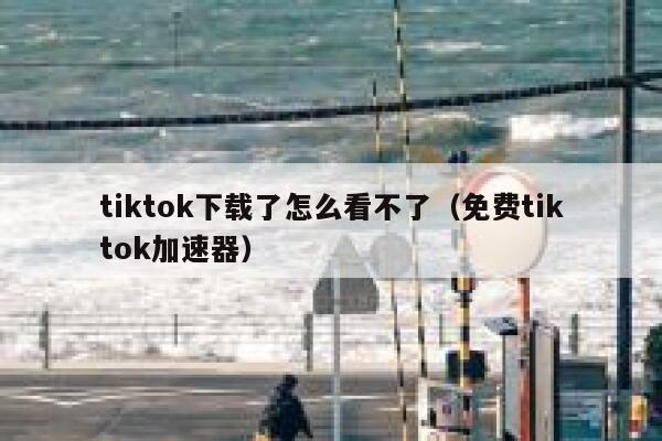 tiktok下载了怎么看不了（免费tiktok加速器） 第1张