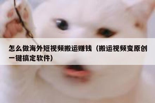 怎么做海外短视频搬运赚钱（搬运视频变原创一键搞定软件） 第1张