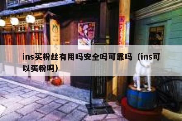 ins买粉丝有用吗安全吗可靠吗（ins可以买粉吗） 第1张