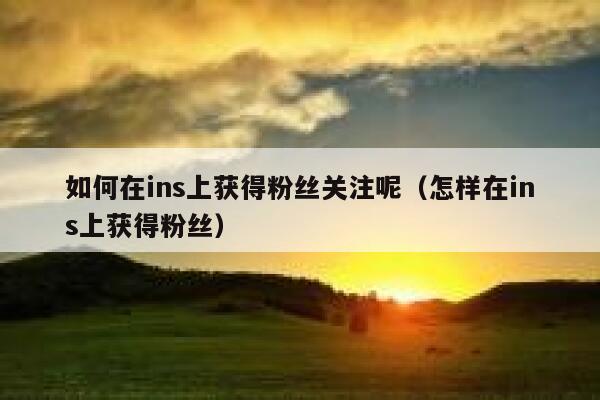 如何在ins上获得粉丝关注呢（怎样在ins上获得粉丝） 第1张