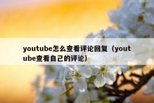 youtube怎么查看评论回复（youtube查看自己的评论） 第1张