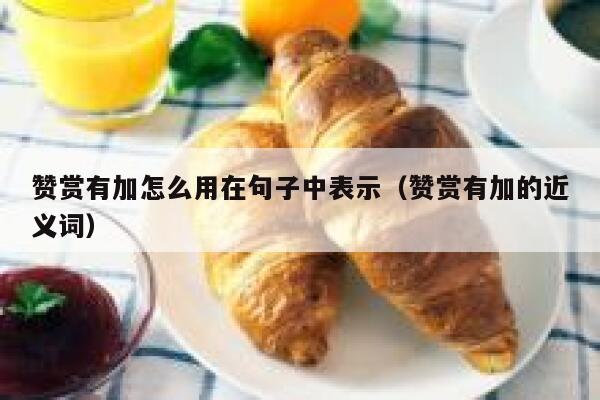 赞赏有加怎么用在句子中表示（赞赏有加的近义词） 第1张