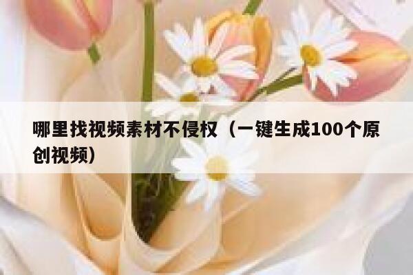 哪里找视频素材不侵权（一键生成100个原创视频） 第1张