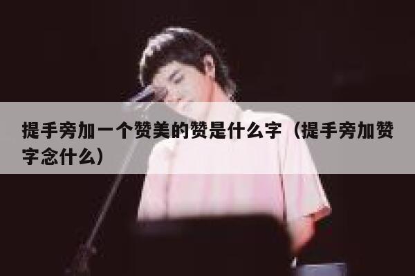 提手旁加一个赞美的赞是什么字（提手旁加赞字念什么） 第1张