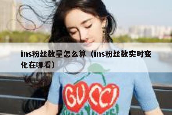 ins粉丝数量怎么算（ins粉丝数实时变化在哪看） 第1张