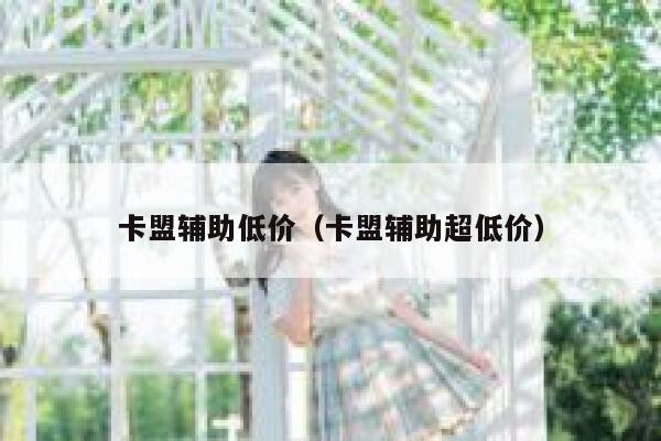 卡盟辅助低价（卡盟辅助超低价） 第1张